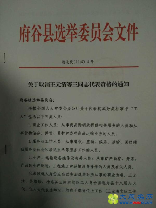 陕西3名县人大代表被取消资格:干部以工人身份