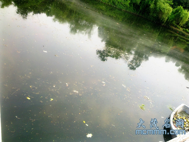 20110527472.jpg