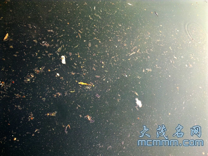 20110531521.jpg