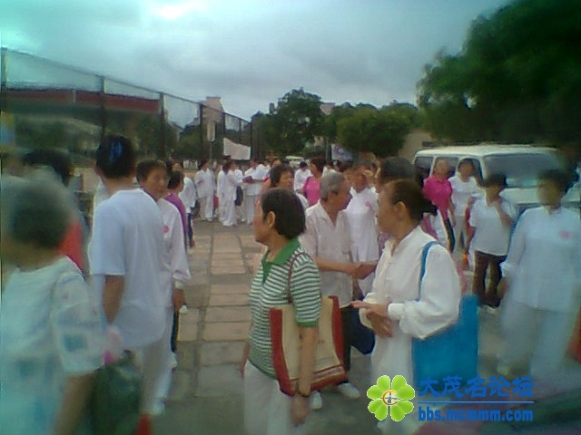 Ƭ0251.jpg