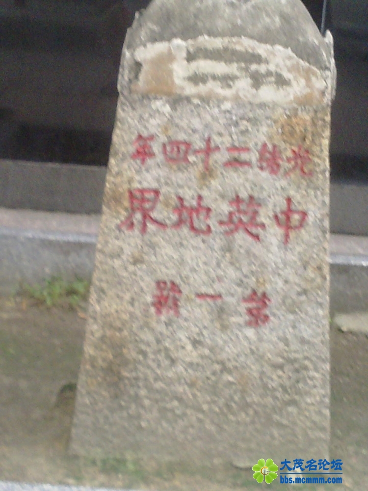 20110715482.jpg