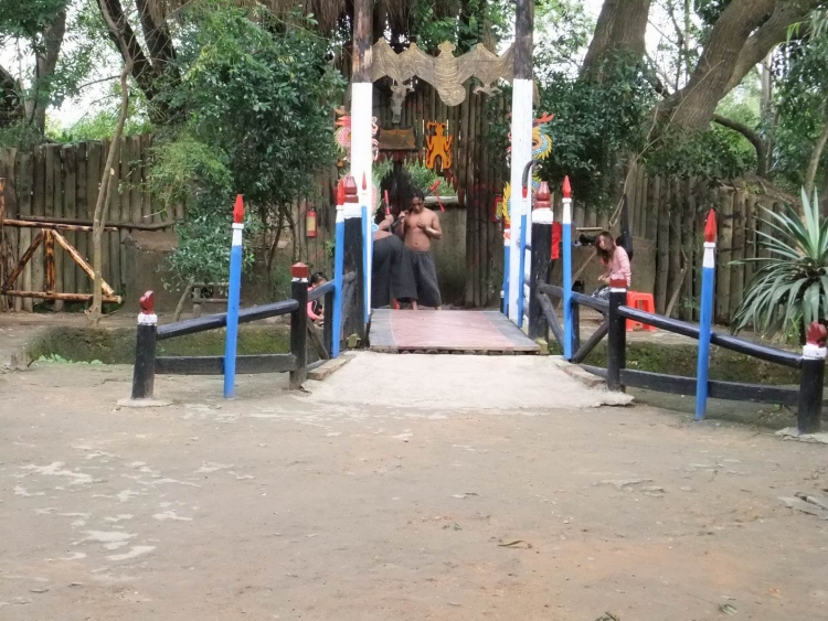 DSCF7504.jpg
