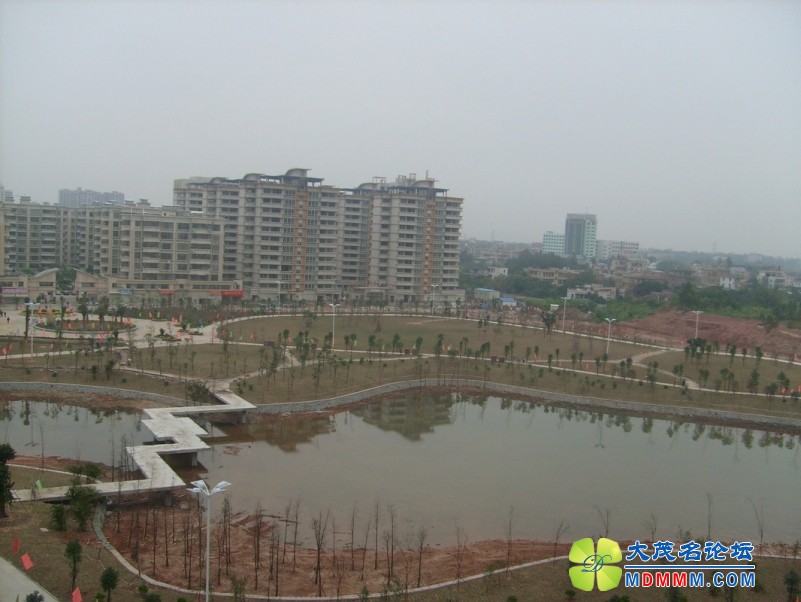 S6303581.jpg