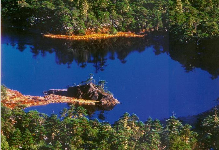 2008929175148169.jpg