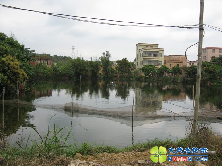 Ƭ 039.jpg