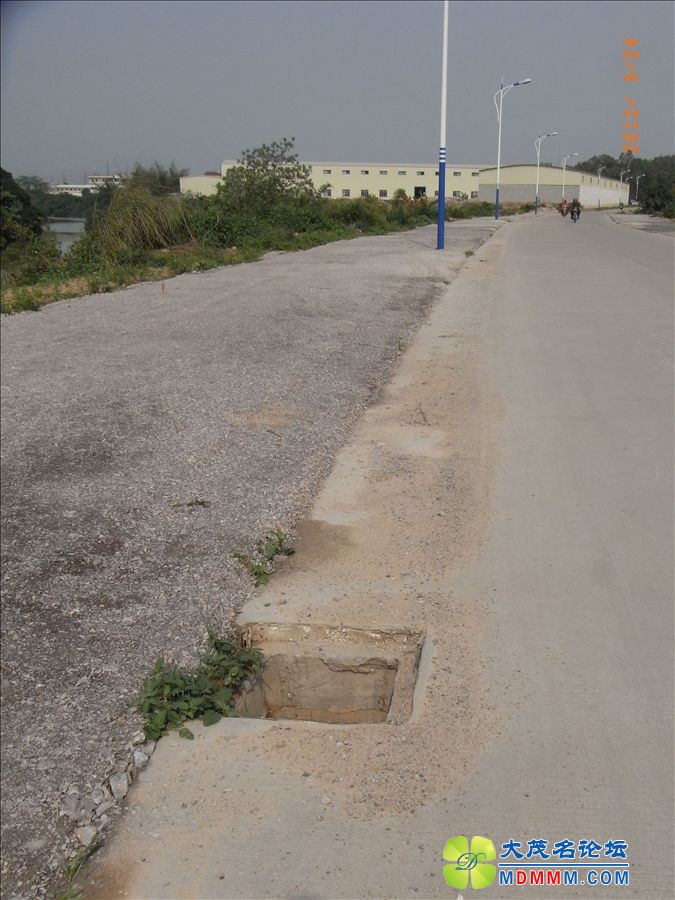 RIMG0031.JPG