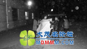 677aafab0837f26dbdbf1fa267a294ae.jpg