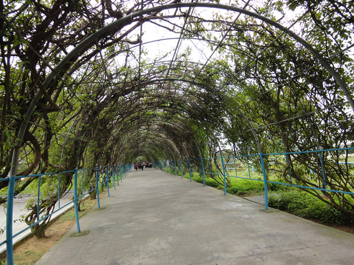 dsc04902_.jpg