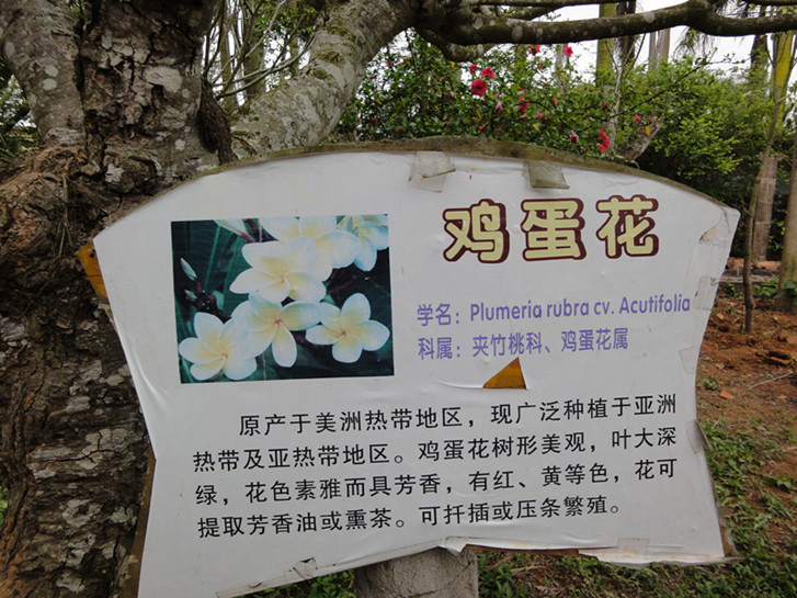dsc04944_.jpg