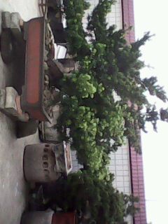 IMG0002A.jpg