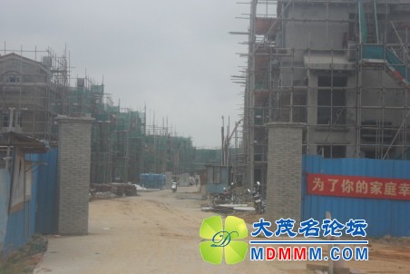 225708zaldhqi63ny6nkil.jpg