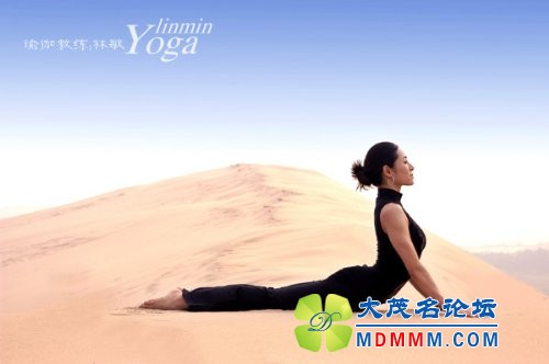 b_02e11c51202ccc8c.jpg