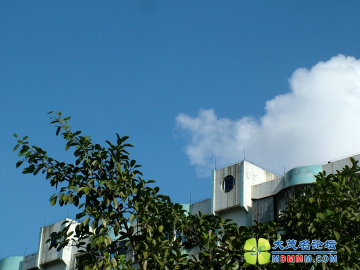 DSCF3546.JPG