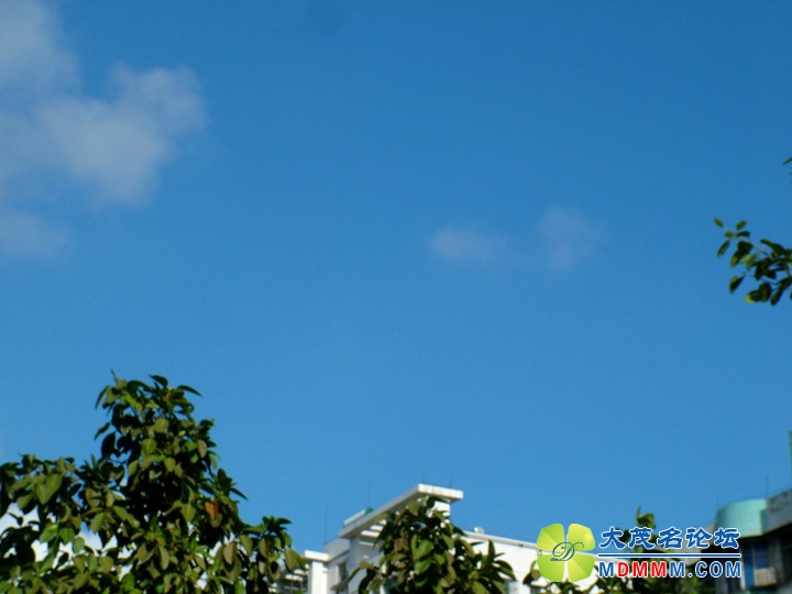 DSCF3547.JPG