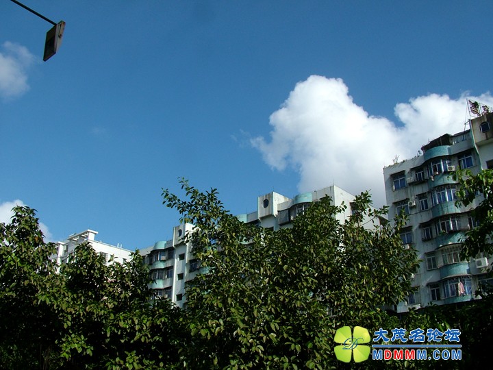 DSCF3548.JPG