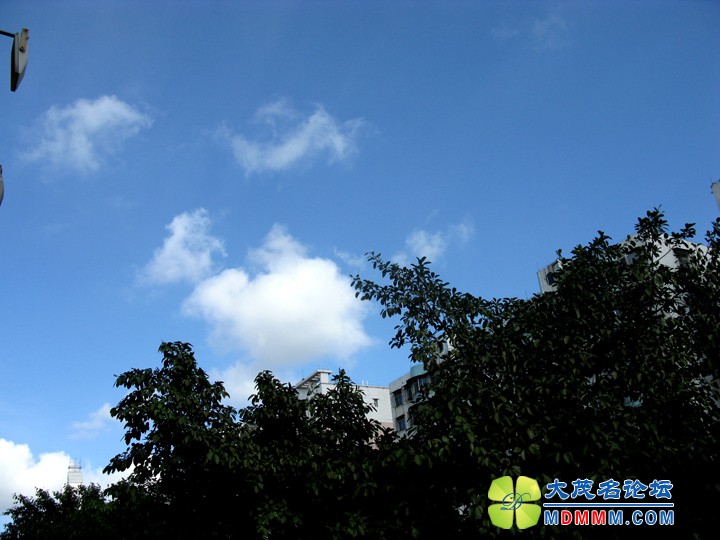 Ƭ 016.jpg