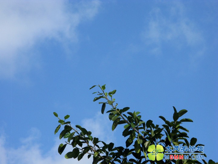 Ƭ 009.jpg