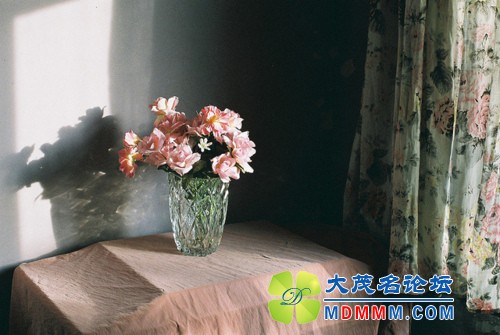 201206211210558870.jpg