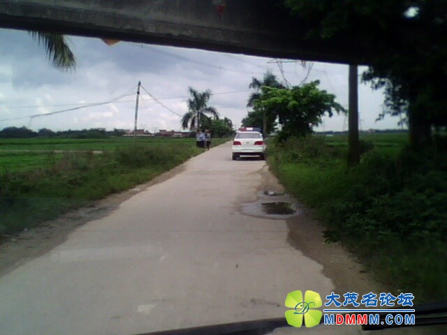IMG0248A.jpg