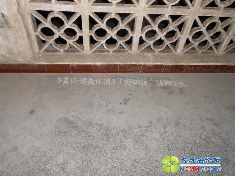 DSCN0461.jpg