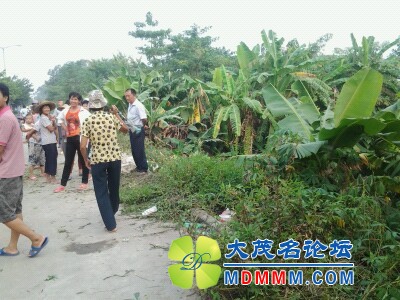 IMG20121009164646.jpg