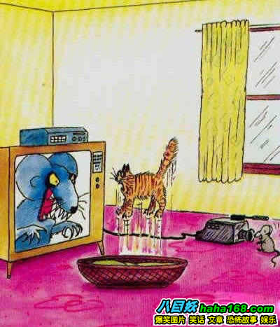 121.jpg