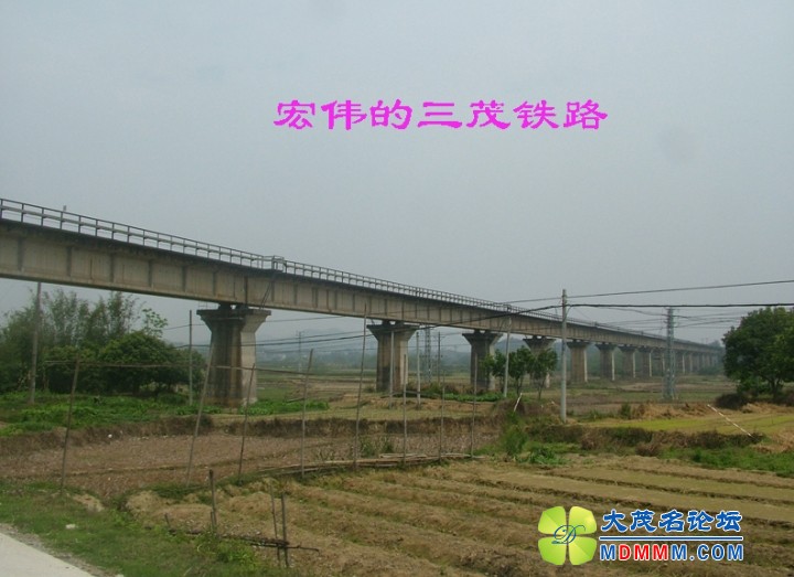 DSCF8034.jpg
