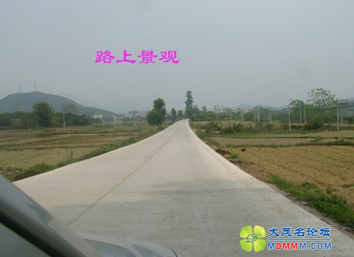 DSCF8039.jpg