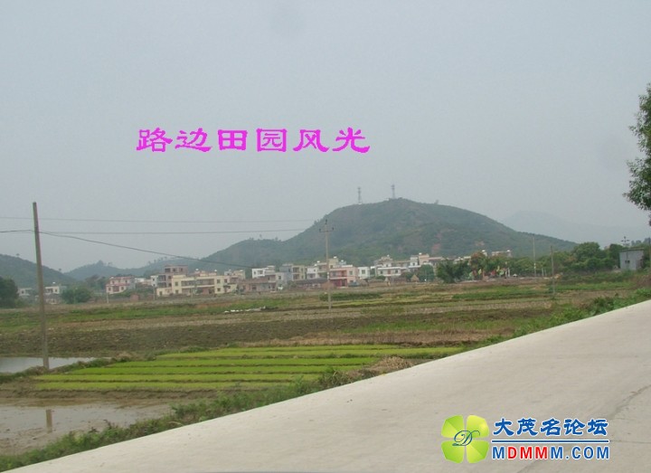 DSCF8040.jpg