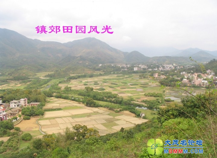 Ƭ 043.jpg