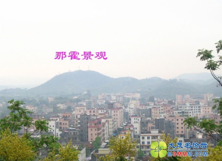 Ƭ 071.jpg