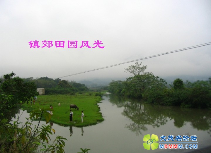 Ƭ 105.jpg