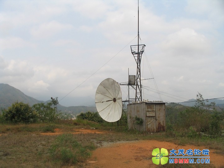 Ƭ 063.jpg