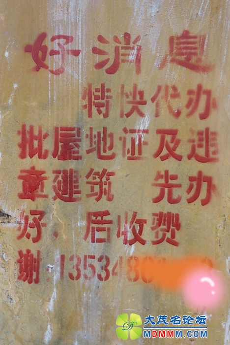 ţƤ0038.jpg