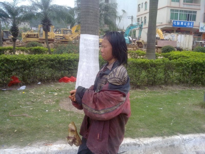 20090102842.jpg