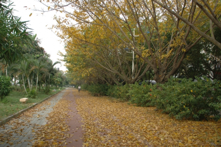 DSC_6004.jpg