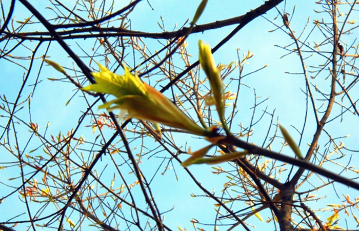 DSCN2026_.jpg