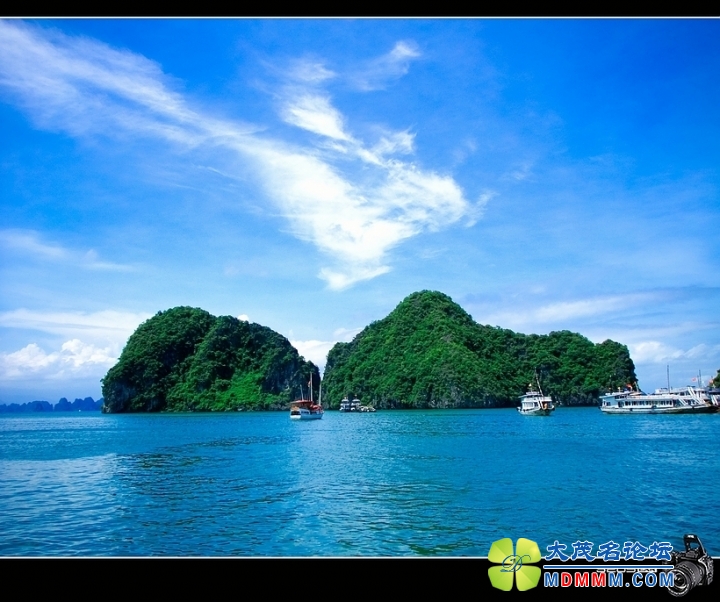 DSCF2948-1.jpg