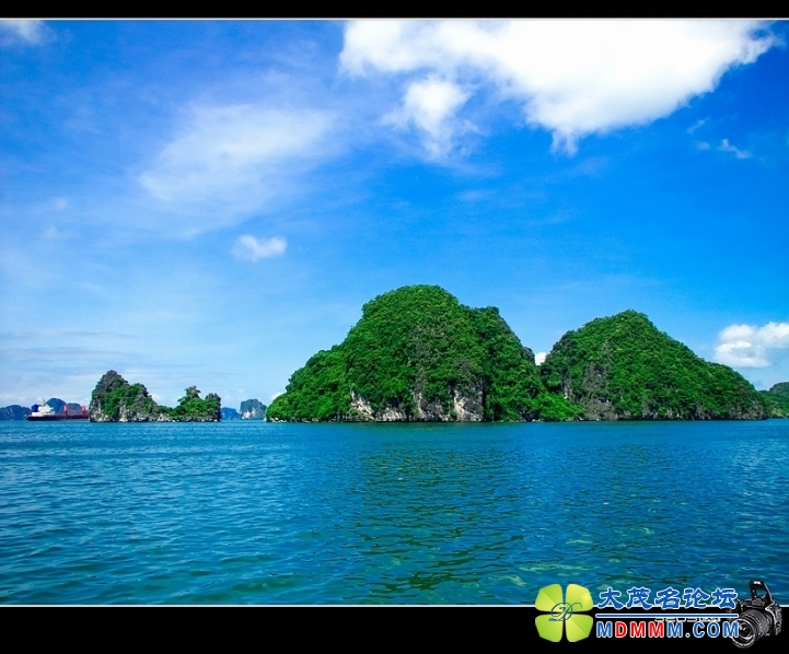 DSCF2959-1.jpg