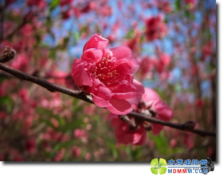 DSCF7120-1.jpg