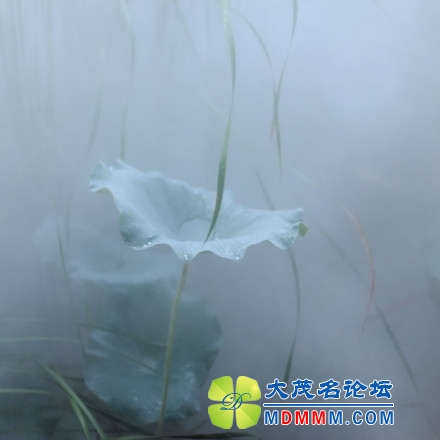 65d1b78bjw1e3vrjqgvwij20jp0jpjs6.jpg