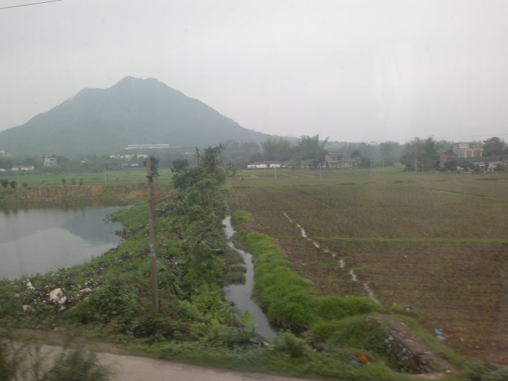 20130427295.jpg