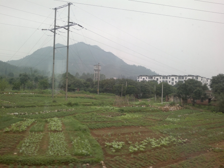 20130427299.jpg