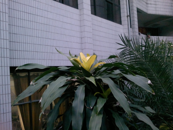 20130502371.jpg