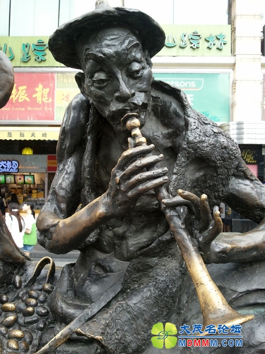 WP_000612.jpg