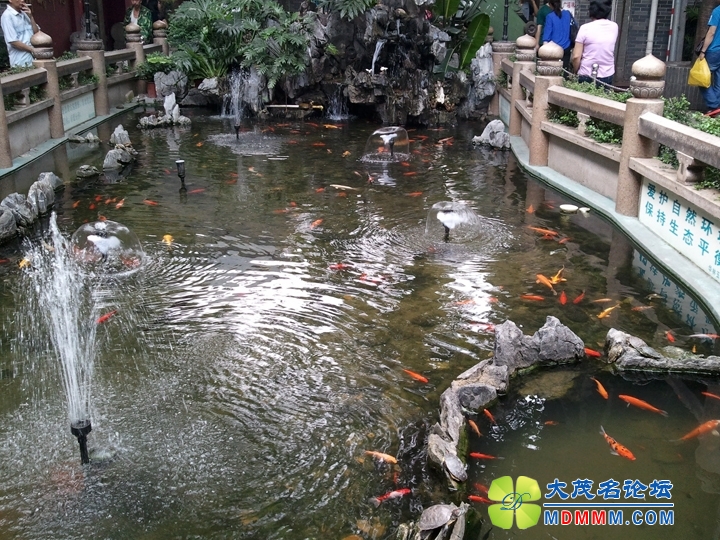 WP_000568.jpg