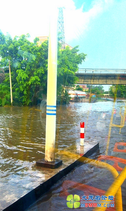 IMAG0370.jpg