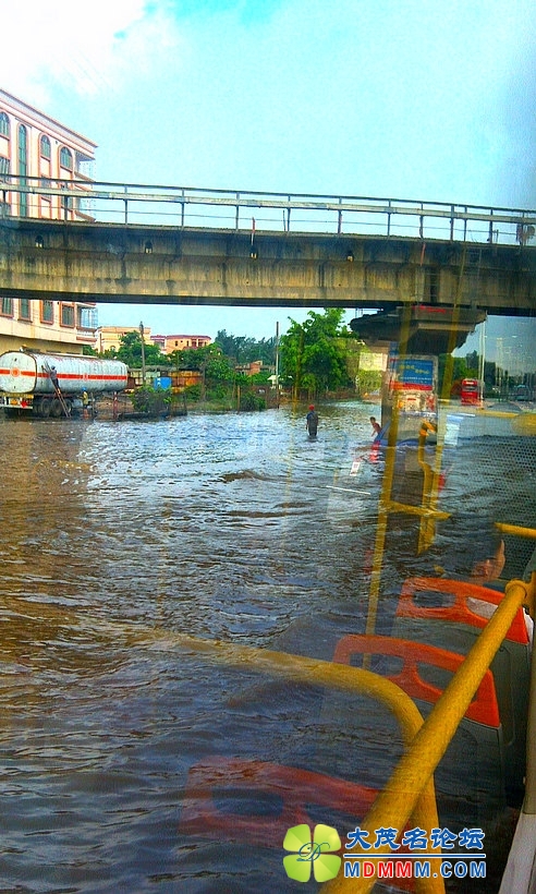 IMAG0371.jpg