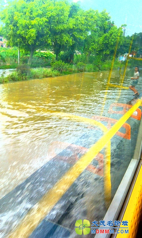 IMAG0380.jpg