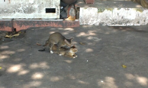 IMG20130528202916.jpg